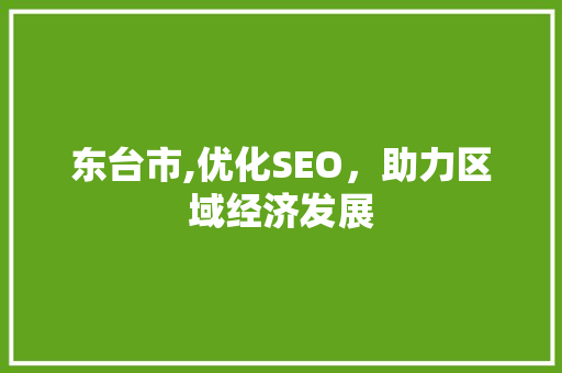 东台市,优化SEO，助力区域经济发展