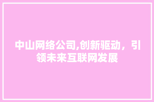 中山网络公司,创新驱动，引领未来互联网发展