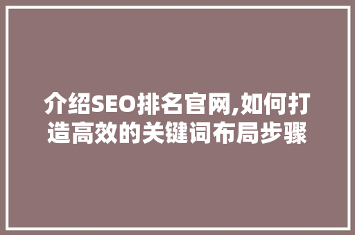 介绍SEO排名官网,如何打造高效的关键词布局步骤