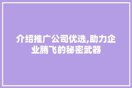 介绍推广公司优选,助力企业腾飞的秘密武器