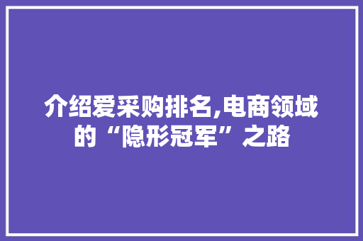 介绍爱采购排名,电商领域的“隐形冠军”之路