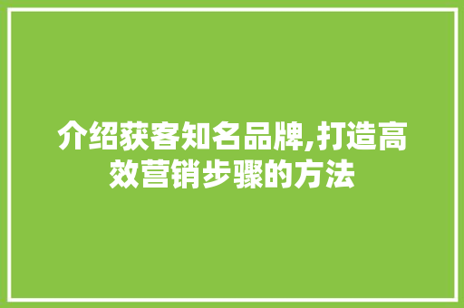 介绍获客知名品牌,打造高效营销步骤的方法