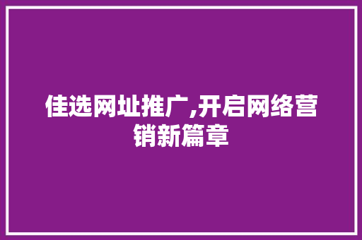 佳选网址推广,开启网络营销新篇章