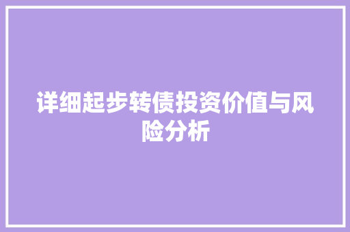 详细起步转债投资价值与风险分析