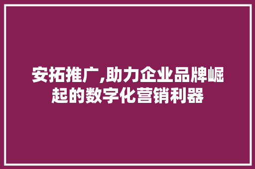 安拓推广,助力企业品牌崛起的数字化营销利器