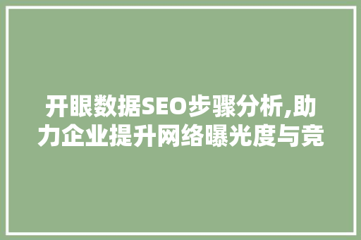 开眼数据SEO步骤分析,助力企业提升网络曝光度与竞争力