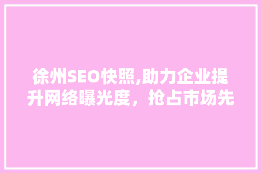 徐州SEO快照,助力企业提升网络曝光度，抢占市场先机