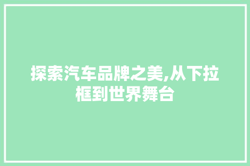 探索汽车品牌之美,从下拉框到世界舞台