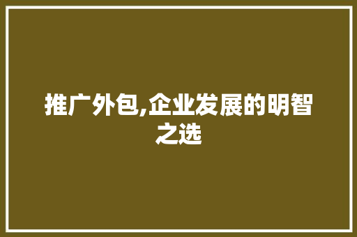 推广外包,企业发展的明智之选