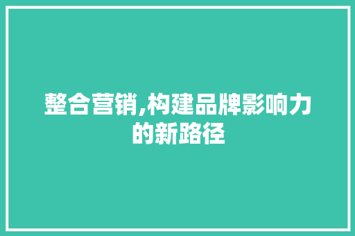 整合营销,构建品牌影响力的新路径