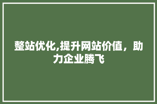 整站优化,提升网站价值，助力企业腾飞