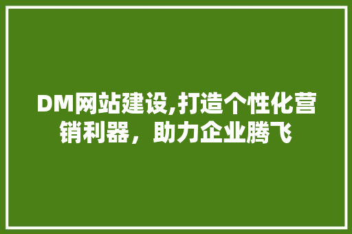 DM网站建设,打造个性化营销利器，助力企业腾飞