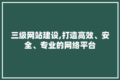 三级网站建设,打造高效、安全、专业的网络平台
