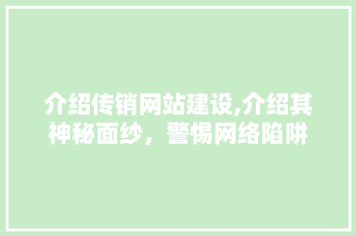介绍传销网站建设,介绍其神秘面纱，警惕网络陷阱