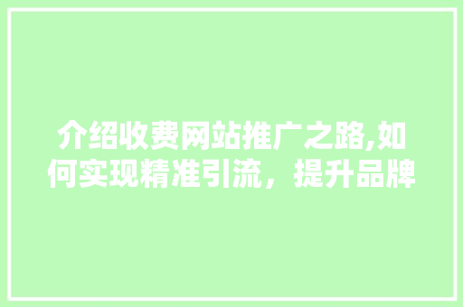 介绍收费网站推广之路,如何实现精准引流，提升品牌知名度