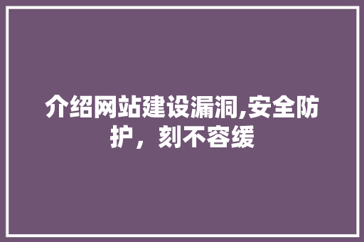 介绍网站建设漏洞,安全防护，刻不容缓