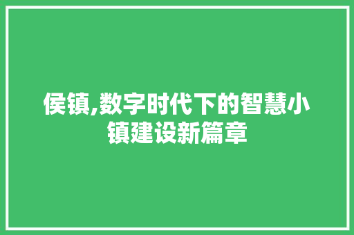 侯镇,数字时代下的智慧小镇建设新篇章