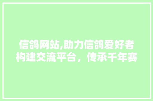 信鸽网站,助力信鸽爱好者构建交流平台，传承千年赛鸽文化
