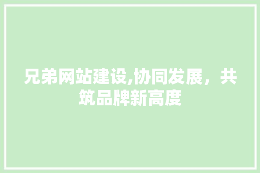 兄弟网站建设,协同发展，共筑品牌新高度