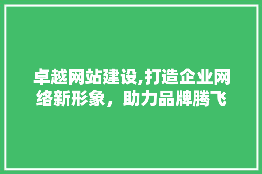 卓越网站建设,打造企业网络新形象，助力品牌腾飞