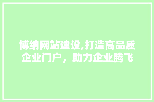 博纳网站建设,打造高品质企业门户，助力企业腾飞