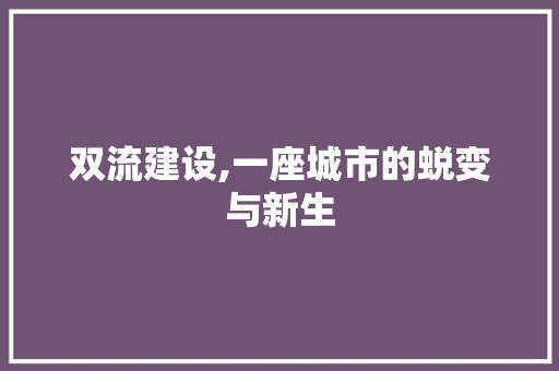 双流建设,一座城市的蜕变与新生