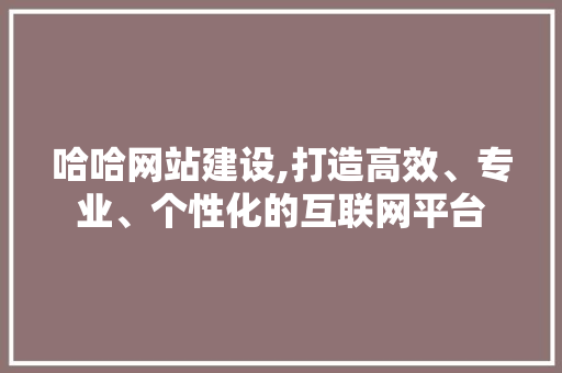 哈哈网站建设,打造高效、专业、个性化的互联网平台