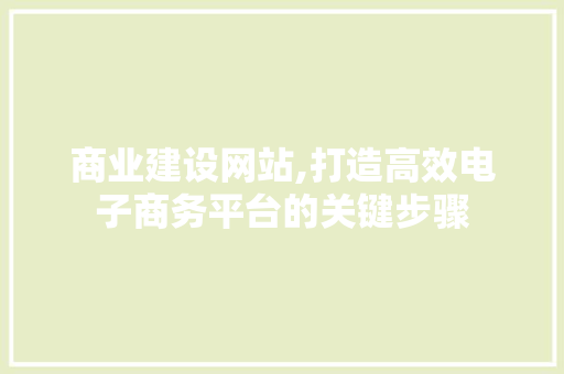 商业建设网站,打造高效电子商务平台的关键步骤