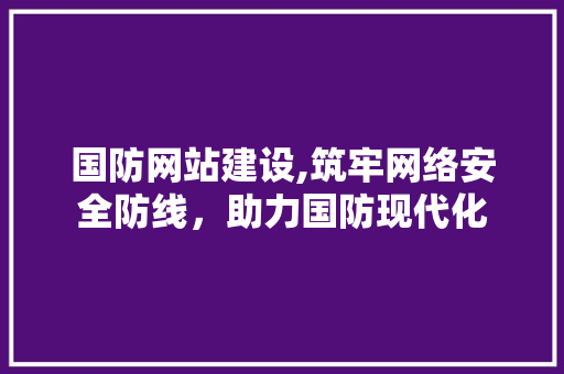 国防网站建设,筑牢网络安全防线，助力国防现代化