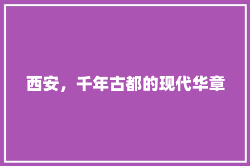 西安，千年古都的现代华章