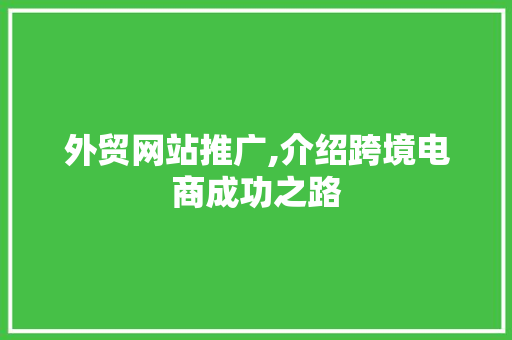 外贸网站推广,介绍跨境电商成功之路
