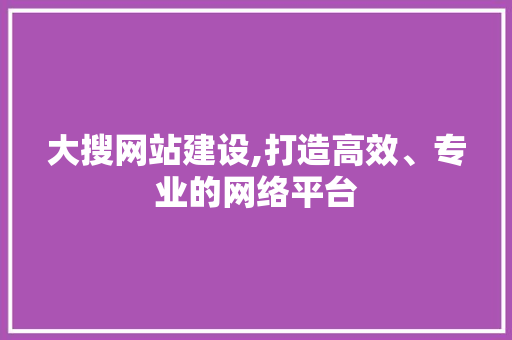 大搜网站建设,打造高效、专业的网络平台