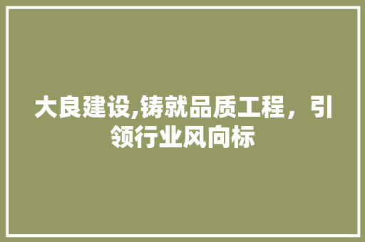 大良建设,铸就品质工程，引领行业风向标