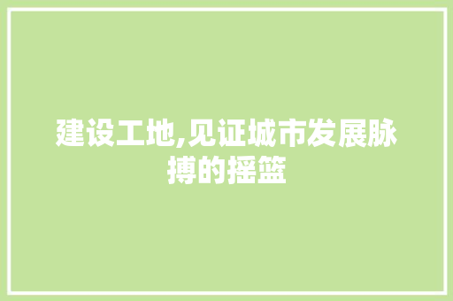 建设工地,见证城市发展脉搏的摇篮