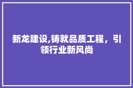 新龙建设,铸就品质工程，引领行业新风尚