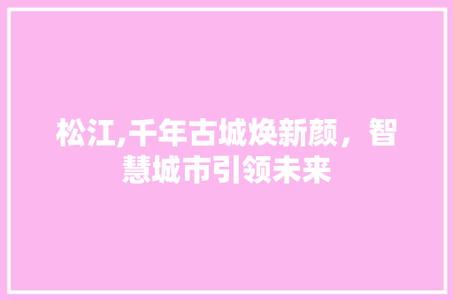 松江,千年古城焕新颜，智慧城市引领未来