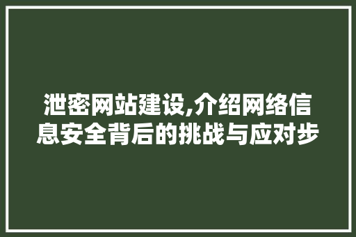 泄密网站建设,介绍网络信息安全背后的挑战与应对步骤