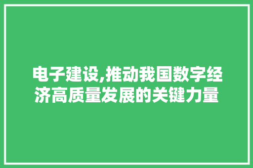 电子建设,推动我国数字经济高质量发展的关键力量