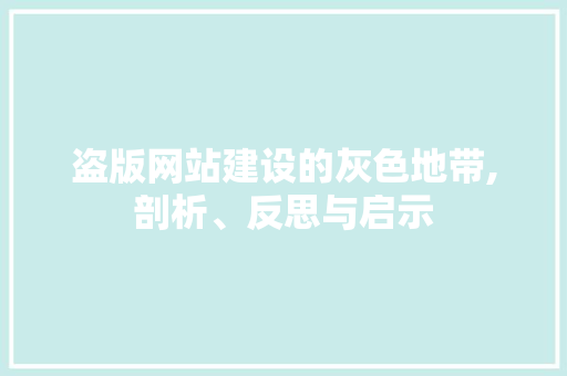 盗版网站建设的灰色地带,剖析、反思与启示