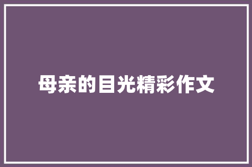 网站建设,助力企业数字化转型，打造核心竞争力
