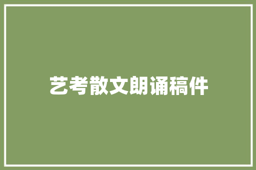 网站建设,如何打造高效、专业的网络平台