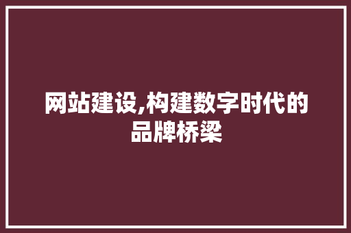 网站建设,构建数字时代的品牌桥梁