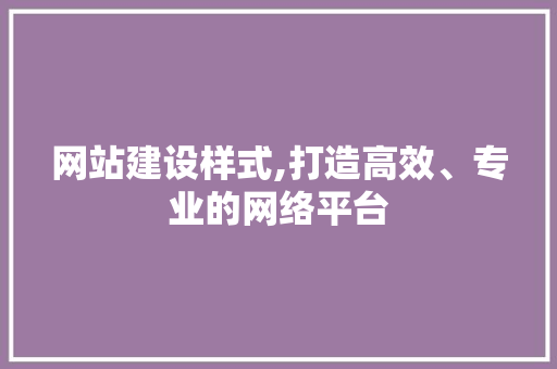 网站建设样式,打造高效、专业的网络平台
