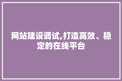 网站建设调试,打造高效、稳定的在线平台