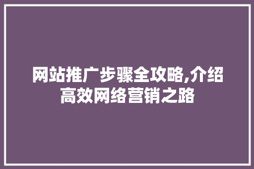 网站推广步骤全攻略,介绍高效网络营销之路