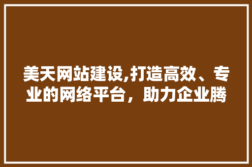 美天网站建设,打造高效、专业的网络平台，助力企业腾飞