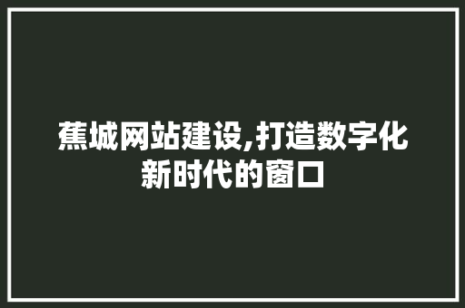 蕉城网站建设,打造数字化新时代的窗口