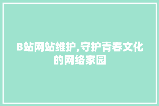 B站网站维护,守护青春文化的网络家园