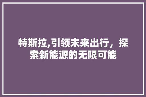 特斯拉,引领未来出行，探索新能源的无限可能
