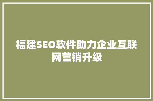 福建SEO软件助力企业互联网营销升级